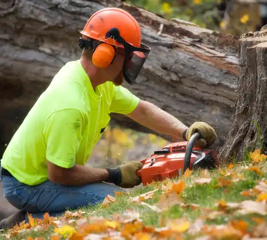 tree services Bakersville